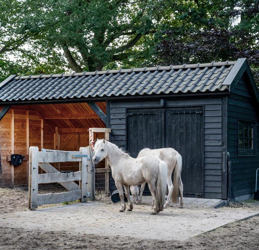 de deel   6800x3400