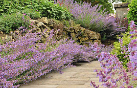 Kera Twice Paduc Oak 45x90x5,8 cm