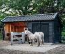 de deel   6800x3400