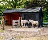 de deel   6800x3400 2 1 